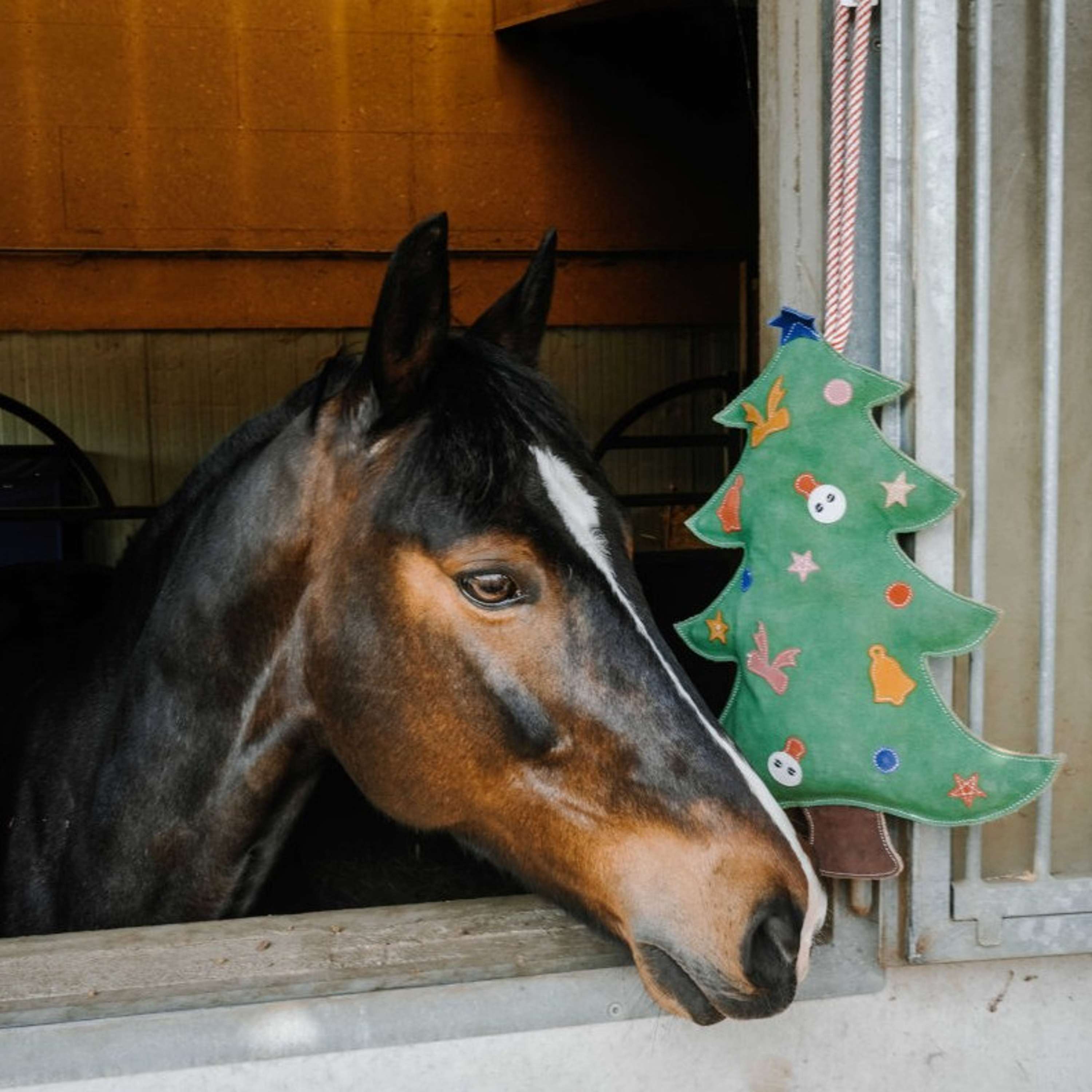 Hippotonic Giocattoli Albero di Natale Verde