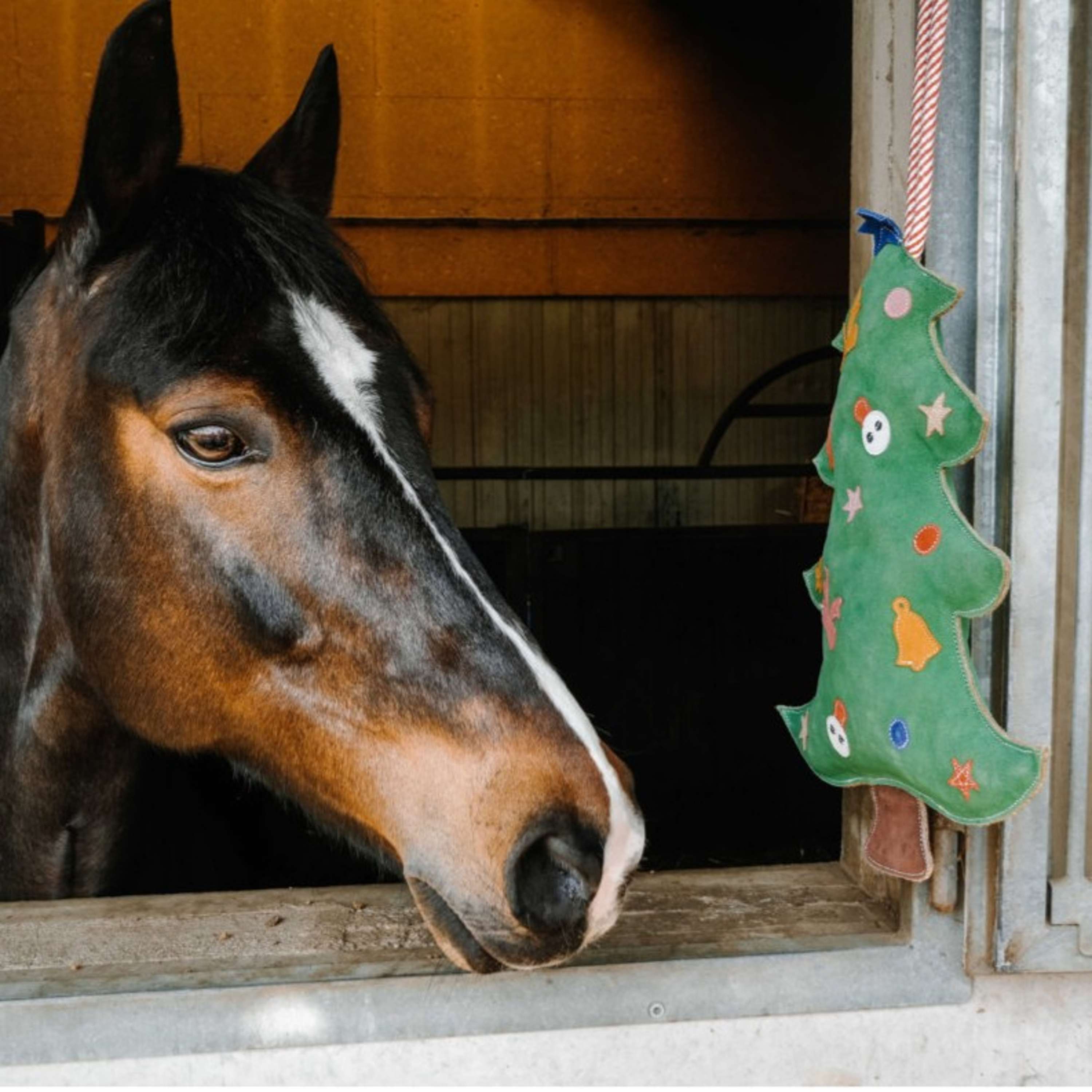 Hippotonic Giocattoli Albero di Natale Verde