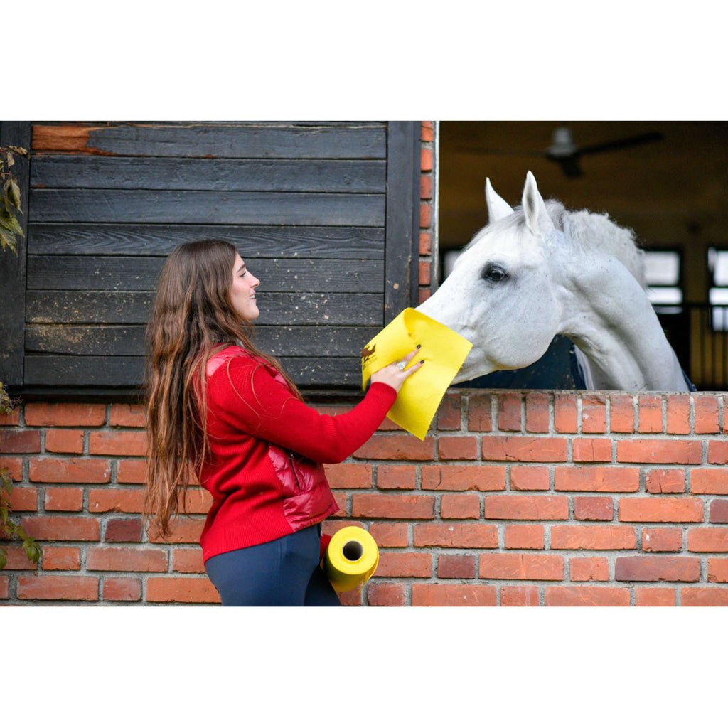 Horsewipe Rotolo di Panni per la Pulizia Giallo