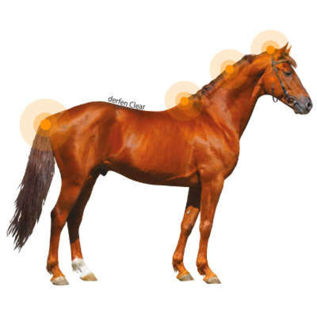 Animaderm Derfen