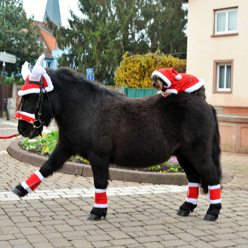 EQUITHÈME Corno di Renna Rosso