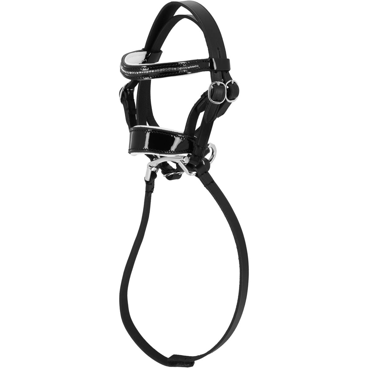 EQUITHÈME Briglia Pony Academy Dressage Nero