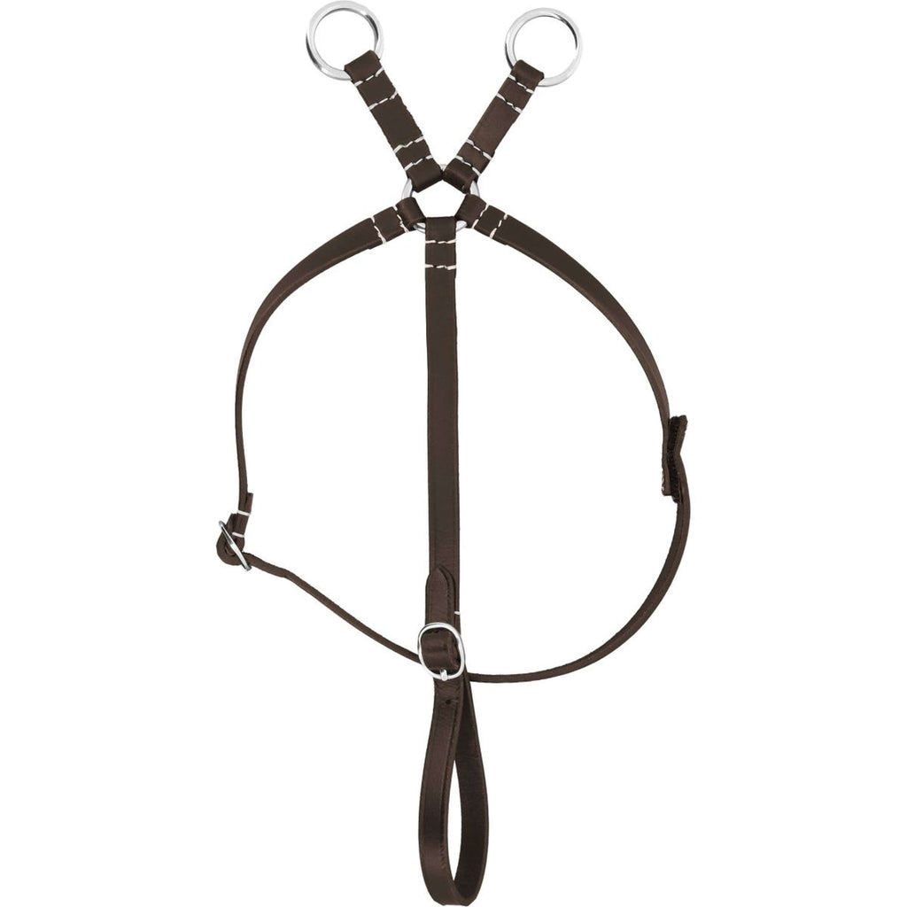 EQUITHÈME Pony Academy Martingala L'Avana