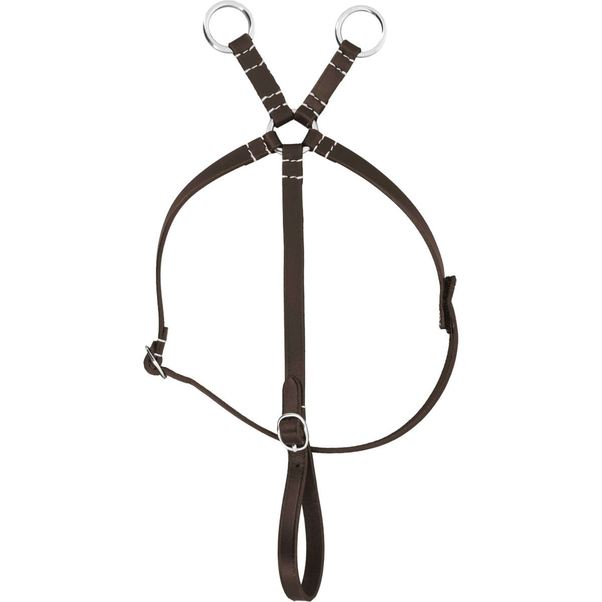 EQUITHÈME Pony Academy Martingala L'Avana