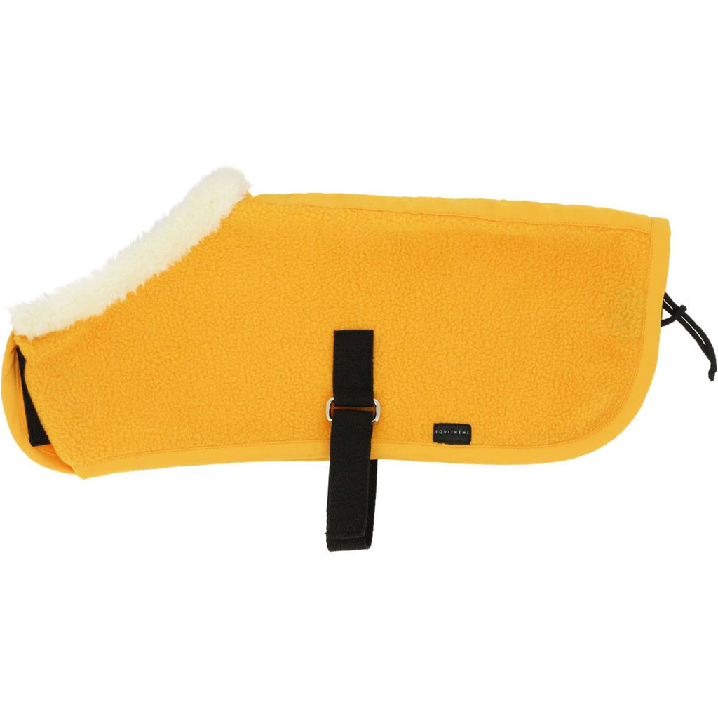 EQUITHÈME Pony Academy Coperta antisudore Giallo