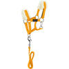 EQUITHÈME Pony Academy Set Cavezza Giallo