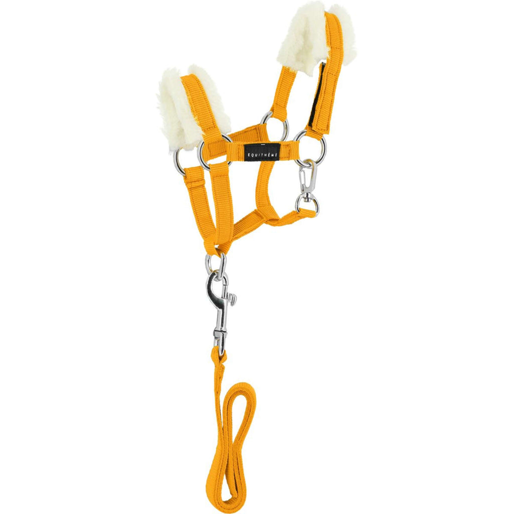 EQUITHÈME Pony Academy Set Cavezza Giallo