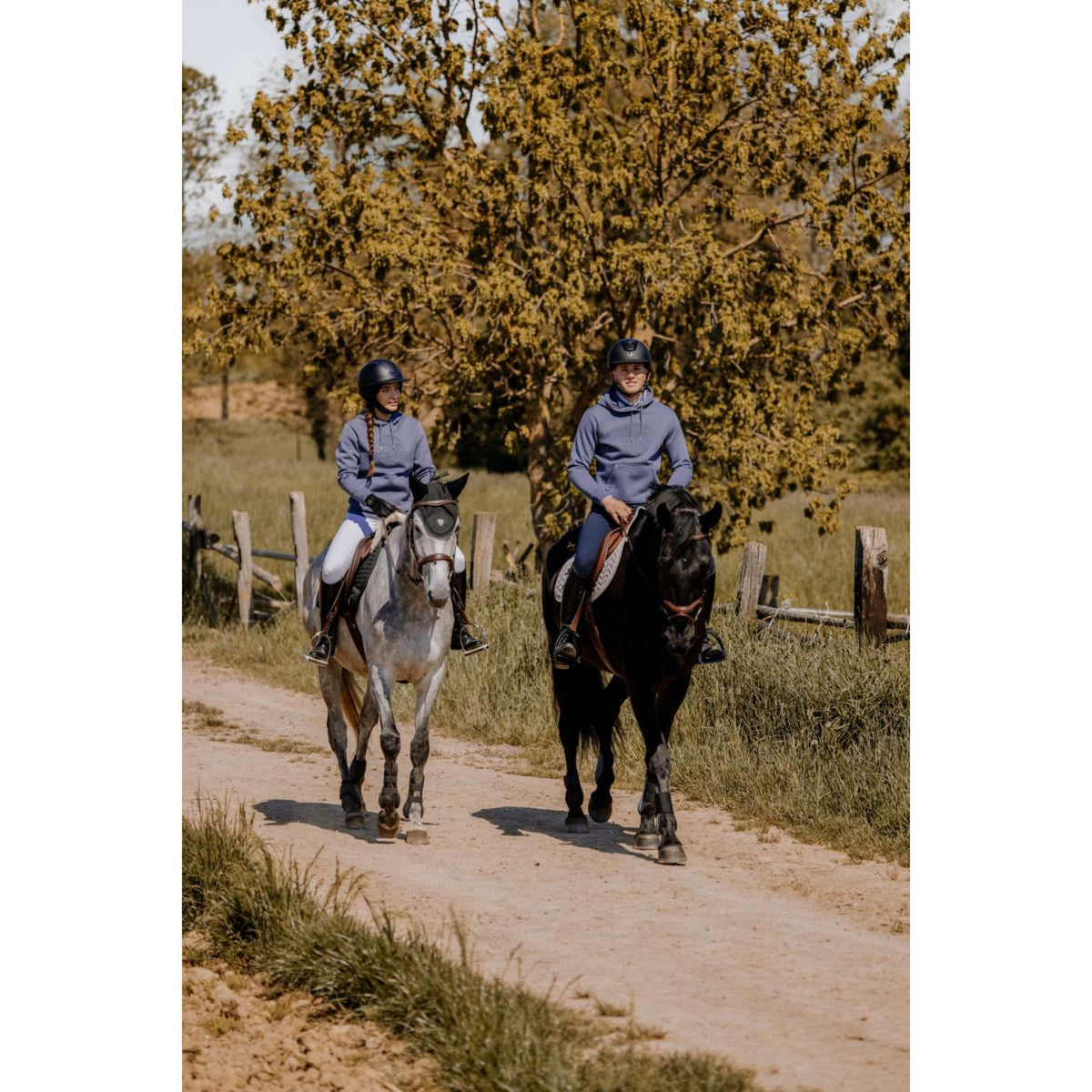 EQUITHÈME Maglione Axel Grigio