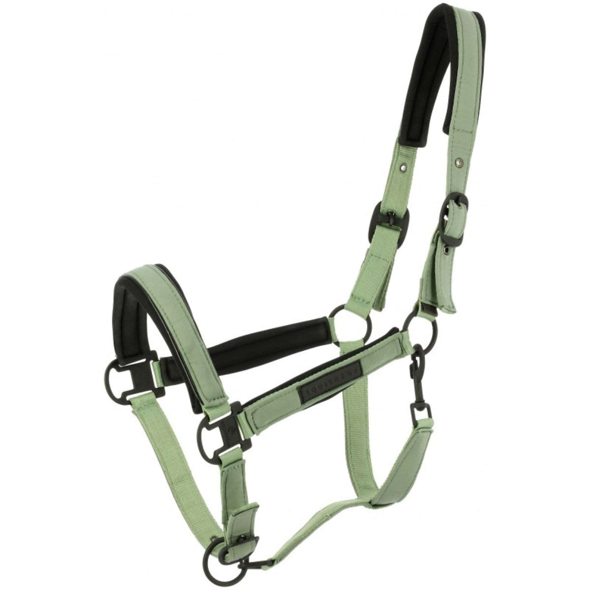EQUITHÈME Cavezza Pearl Verde