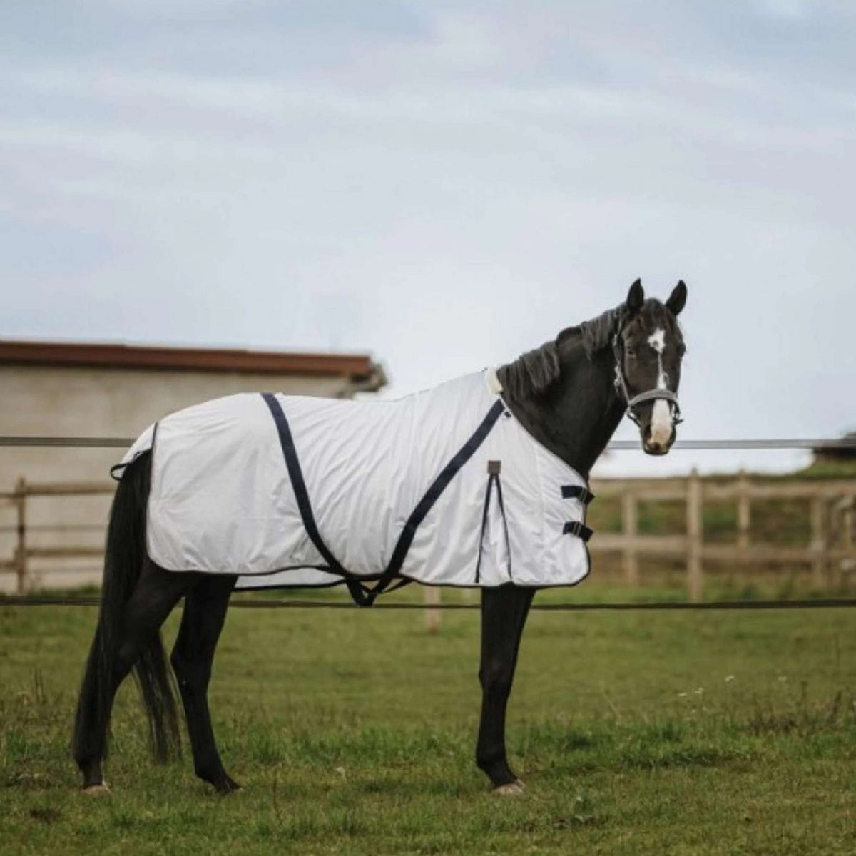 EQUITHÈME Coperta Antimosche Bianco