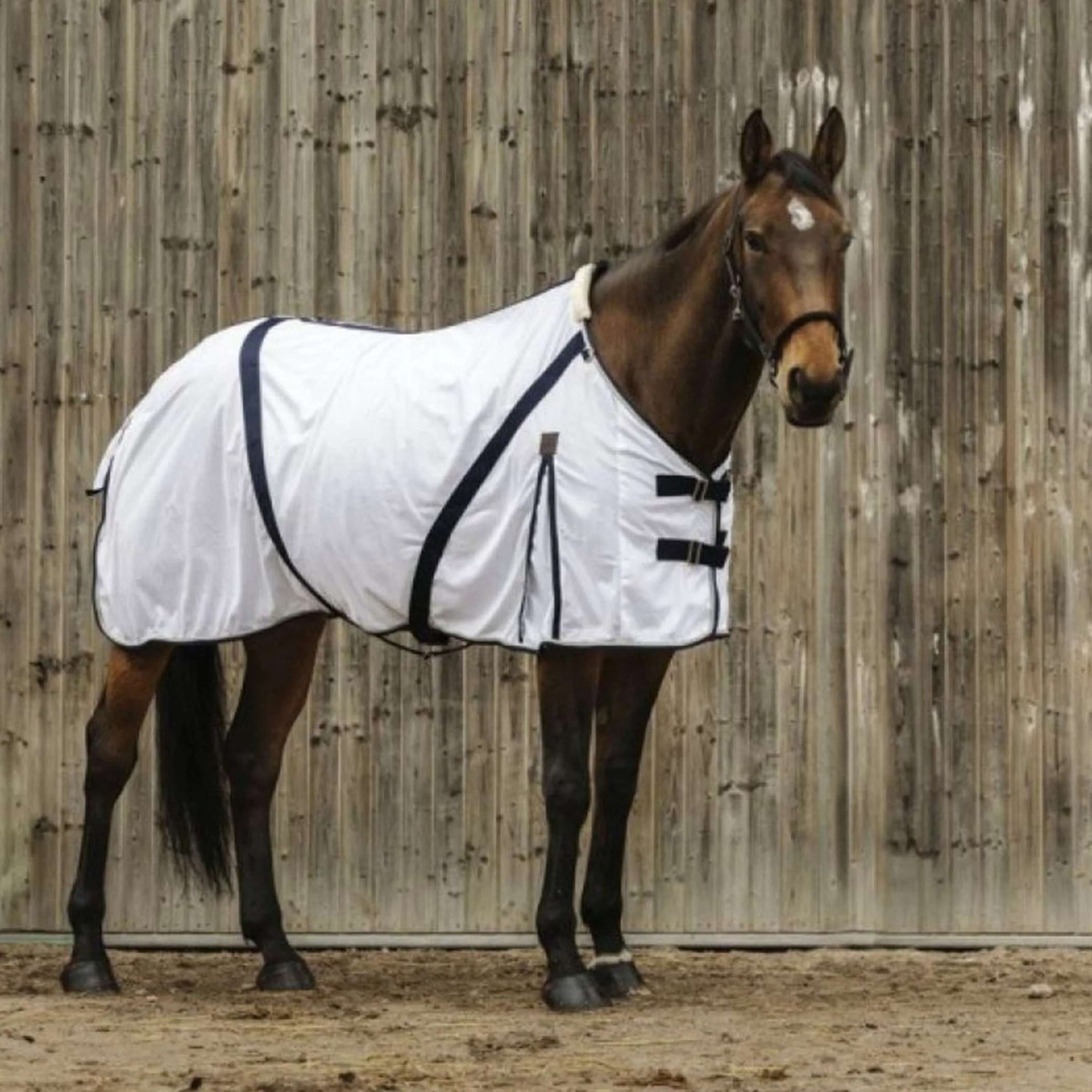 EQUITHÈME Coperta Antimosche Bianco EQUITHÈME Coperta Antimosche Bianco