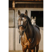 Eric Thomas Briglia Work Nero