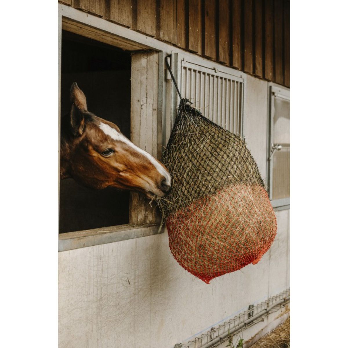 Hippotonic Rete da Fieno Fine Nero/Rosso