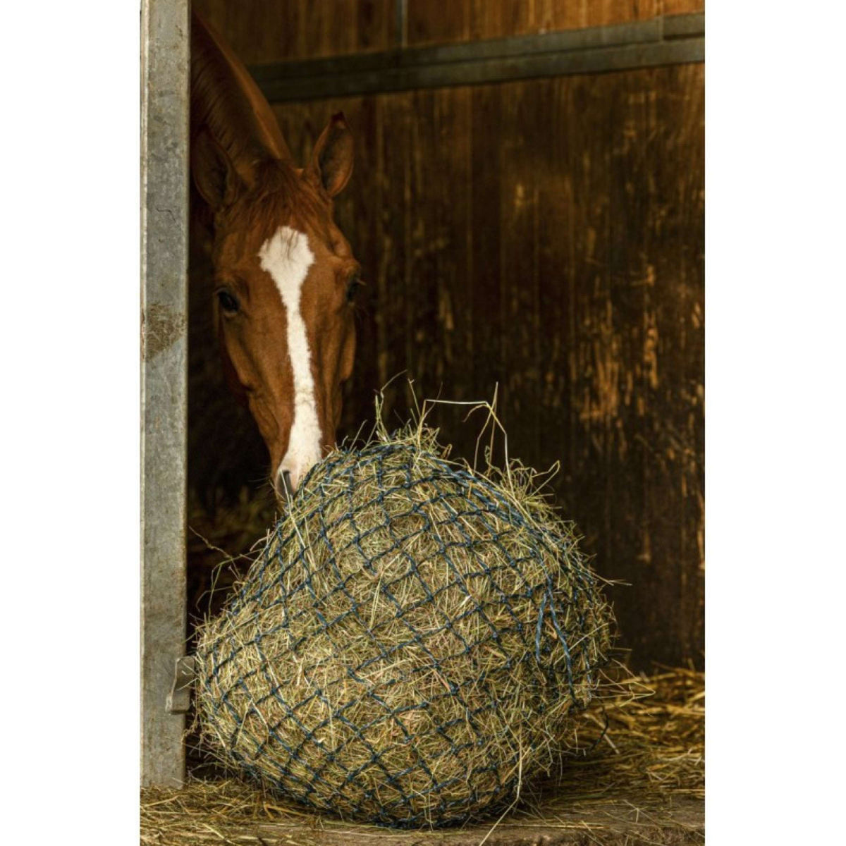 Hippotonic Rete da Fieno Zari Verde/Argento