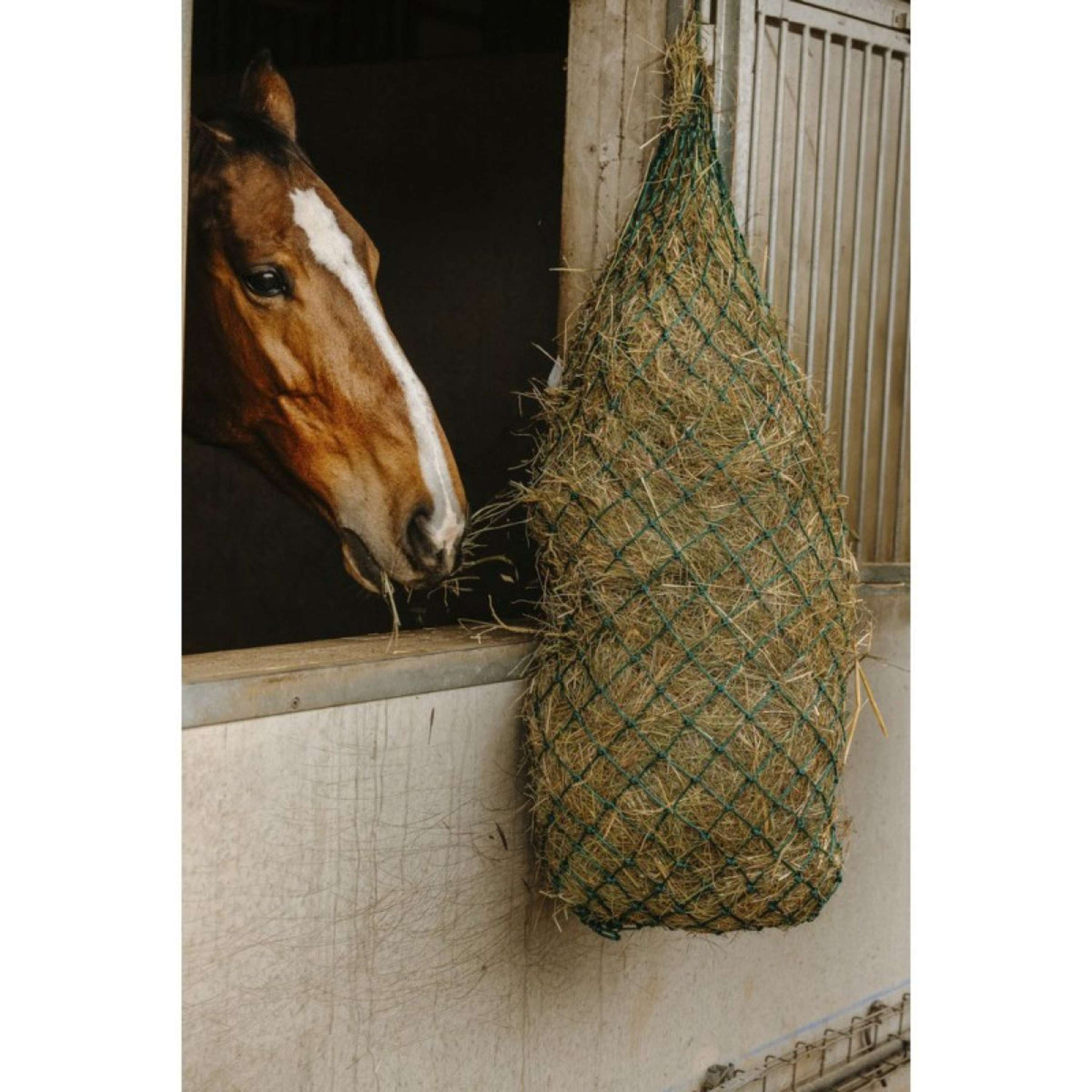 Hippotonic Rete da Fieno Long Verde