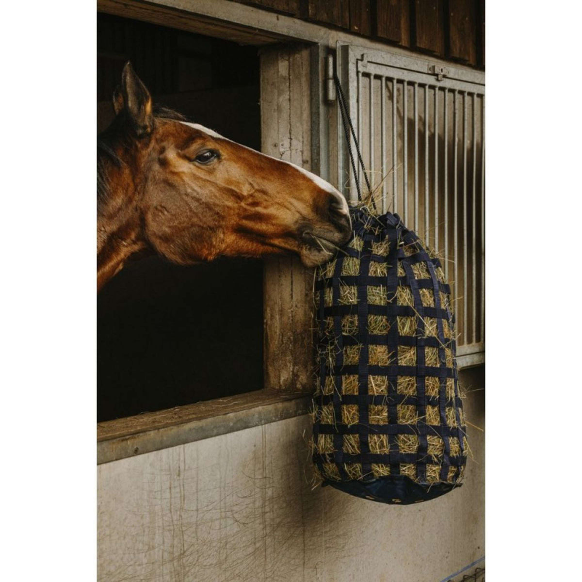 Hippotonic Rete da Fieno Webbing Navy