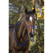 Norton Capezza da equitazione Blu reale