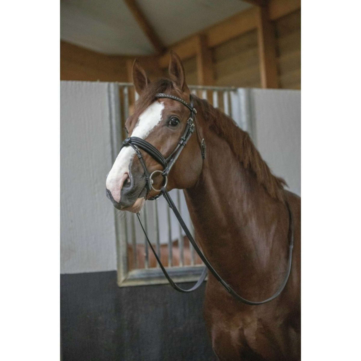 Pénélope Briglia Daily Avana/Cioccolato