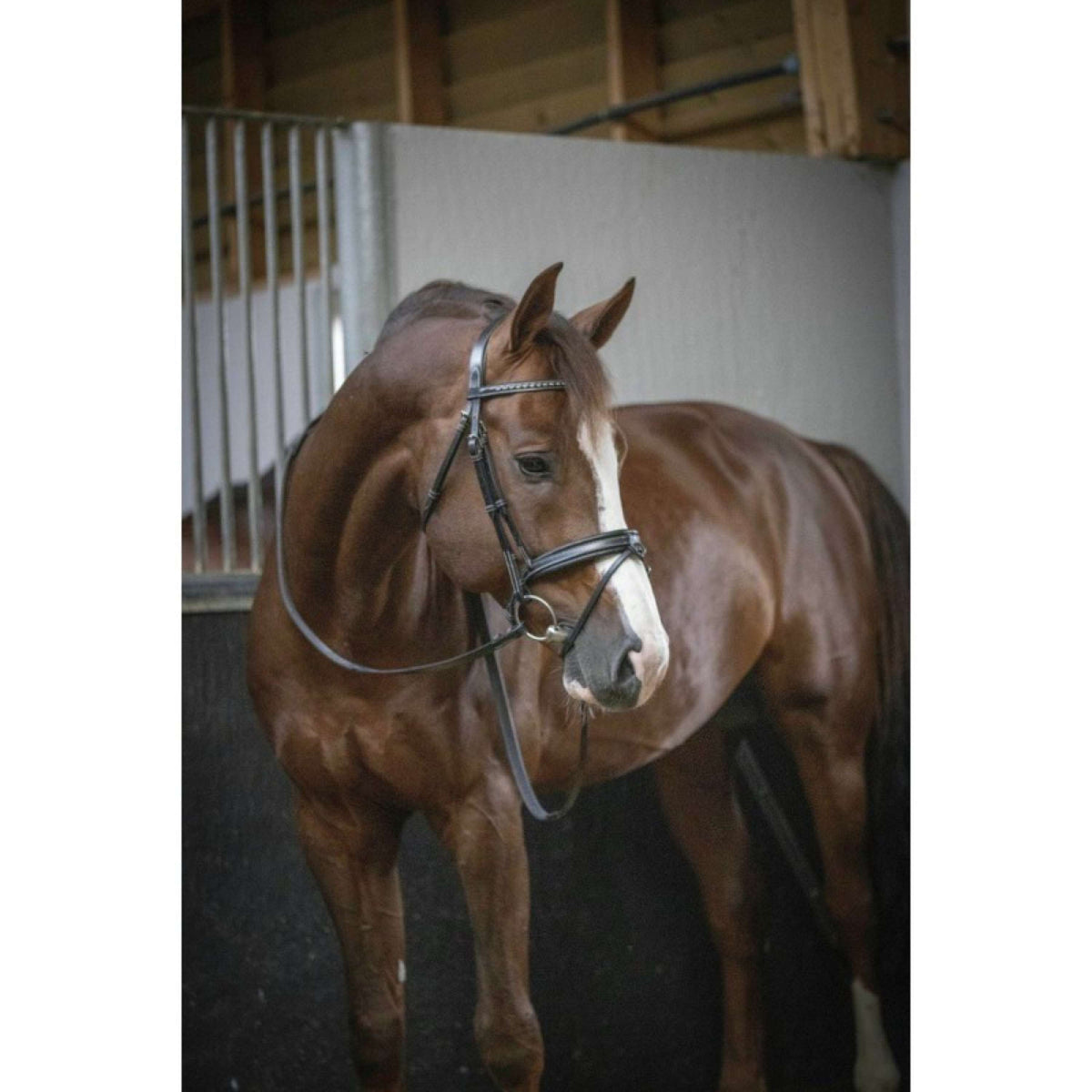 Pénélope Briglia Daily Avana/Cioccolato