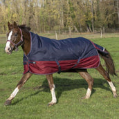 EQUITHÈME Tappeto da Esterno Tyrex 1200D 0g con Mezza Collo Navy/Bordeaux