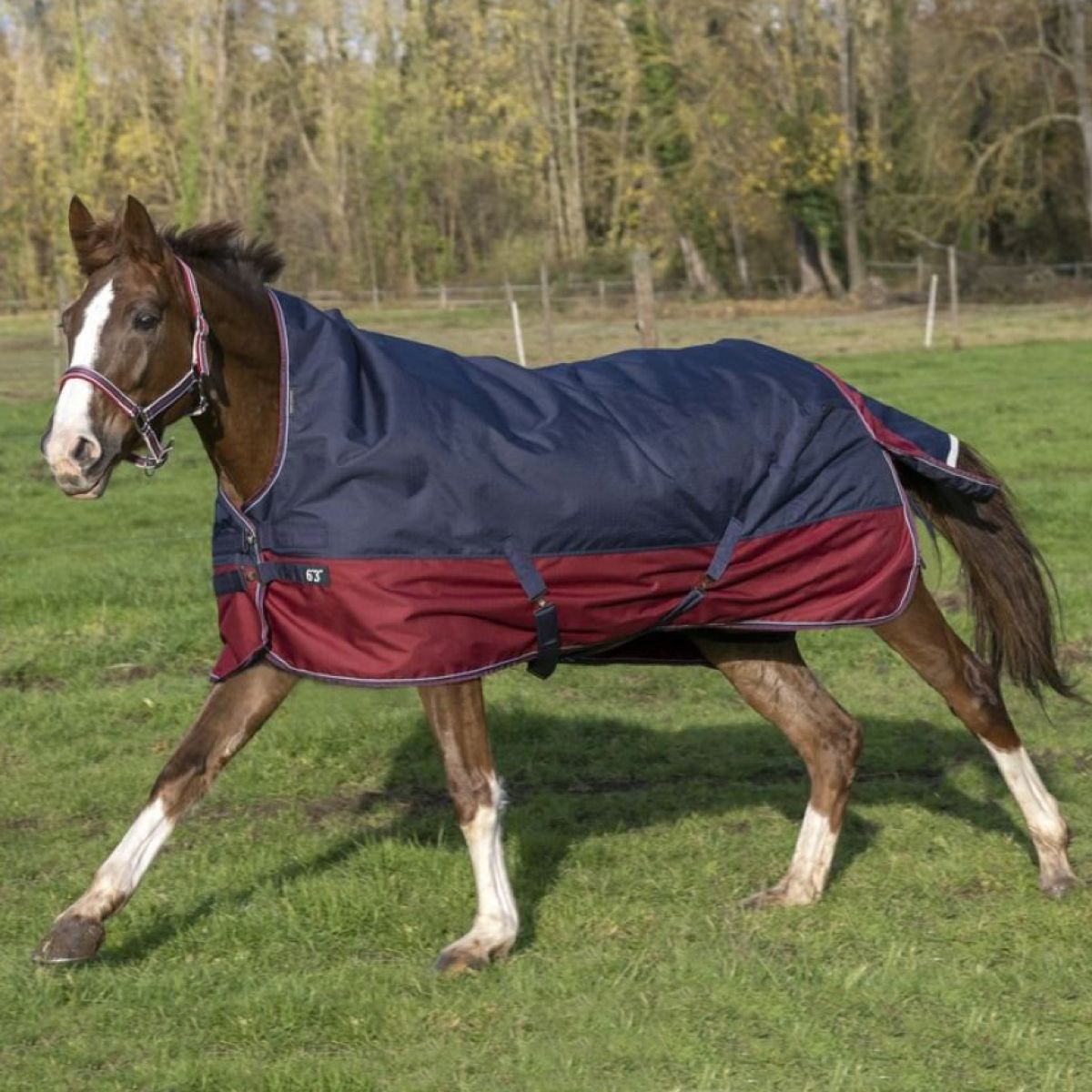 EQUITHÈME Tappeto da Esterno Tyrex 1200D 0g con Mezza Collo Navy/Bordeaux