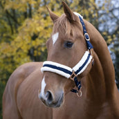 Norton Capezzina Confort Navy