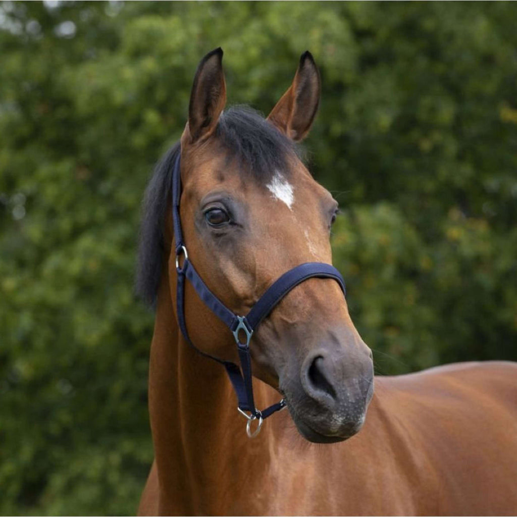 Norton Capezza Foderato con Neoprene Navy