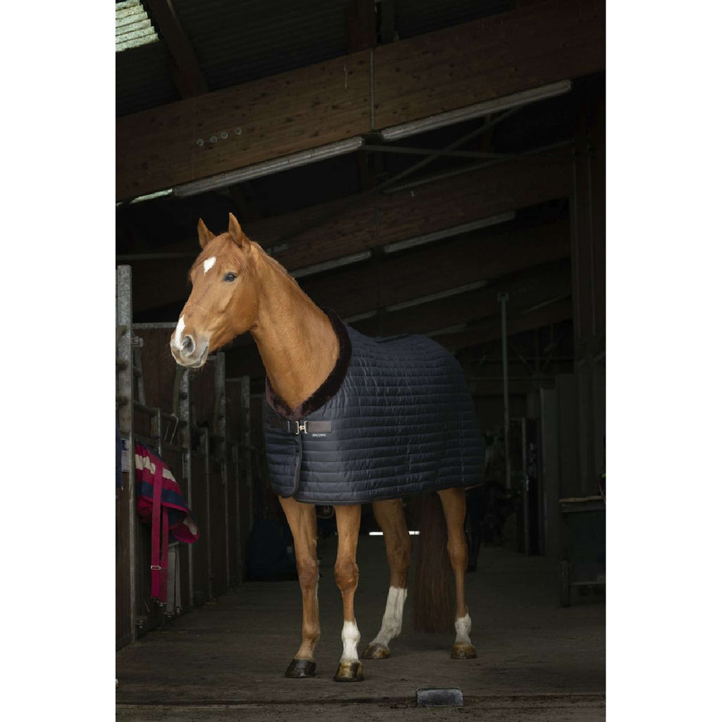 EQUITHÈME Coperta da scuderia Teddy Nero/Marrone