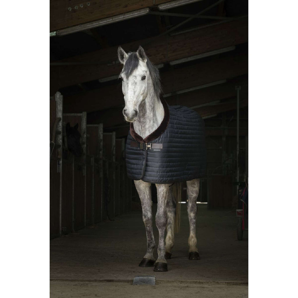 EQUITHÈME Coperta da scuderia Teddy Nero/Marrone