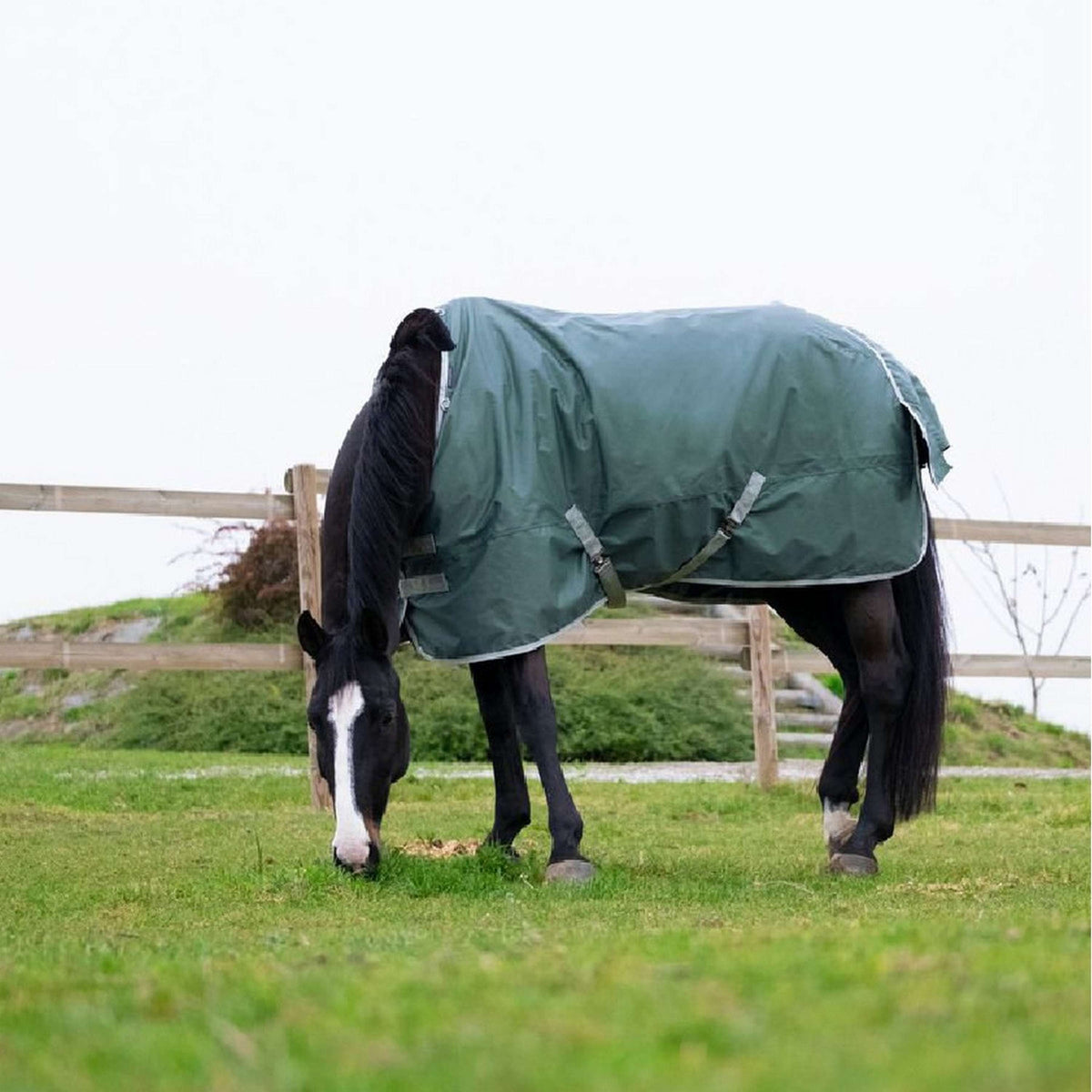 EQUITHÈME Tappeto da Esterno Tyrex 600D 150g Verde