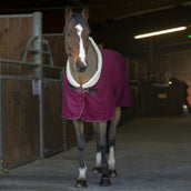 EQUITHÈME Cooler Teddy Bordeaux/Bianco Sporco