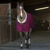 EQUITHÈME Cooler Teddy Bordeaux/Bianco Sporco