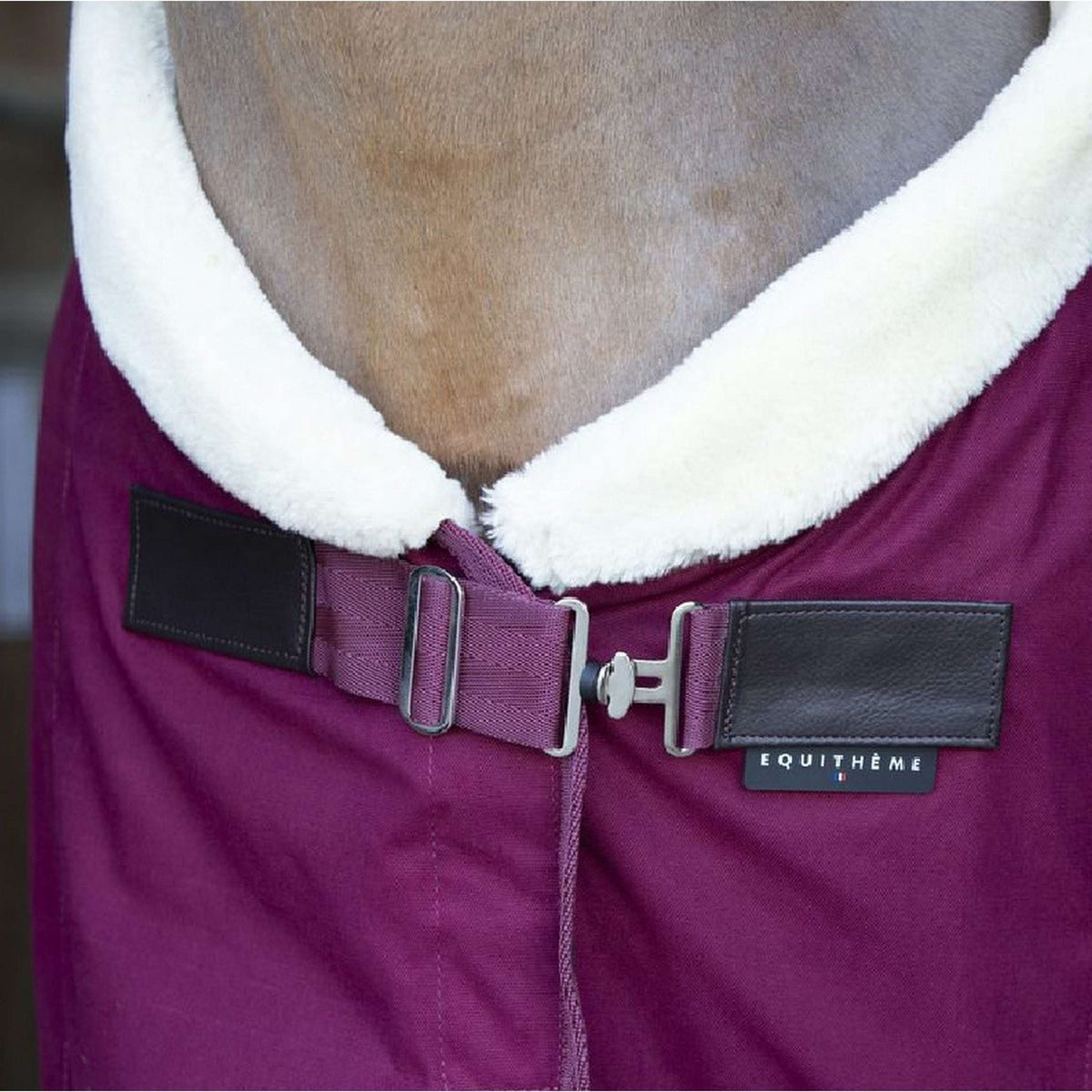 EQUITHÈME Cooler Teddy Bordeaux/Bianco Sporco