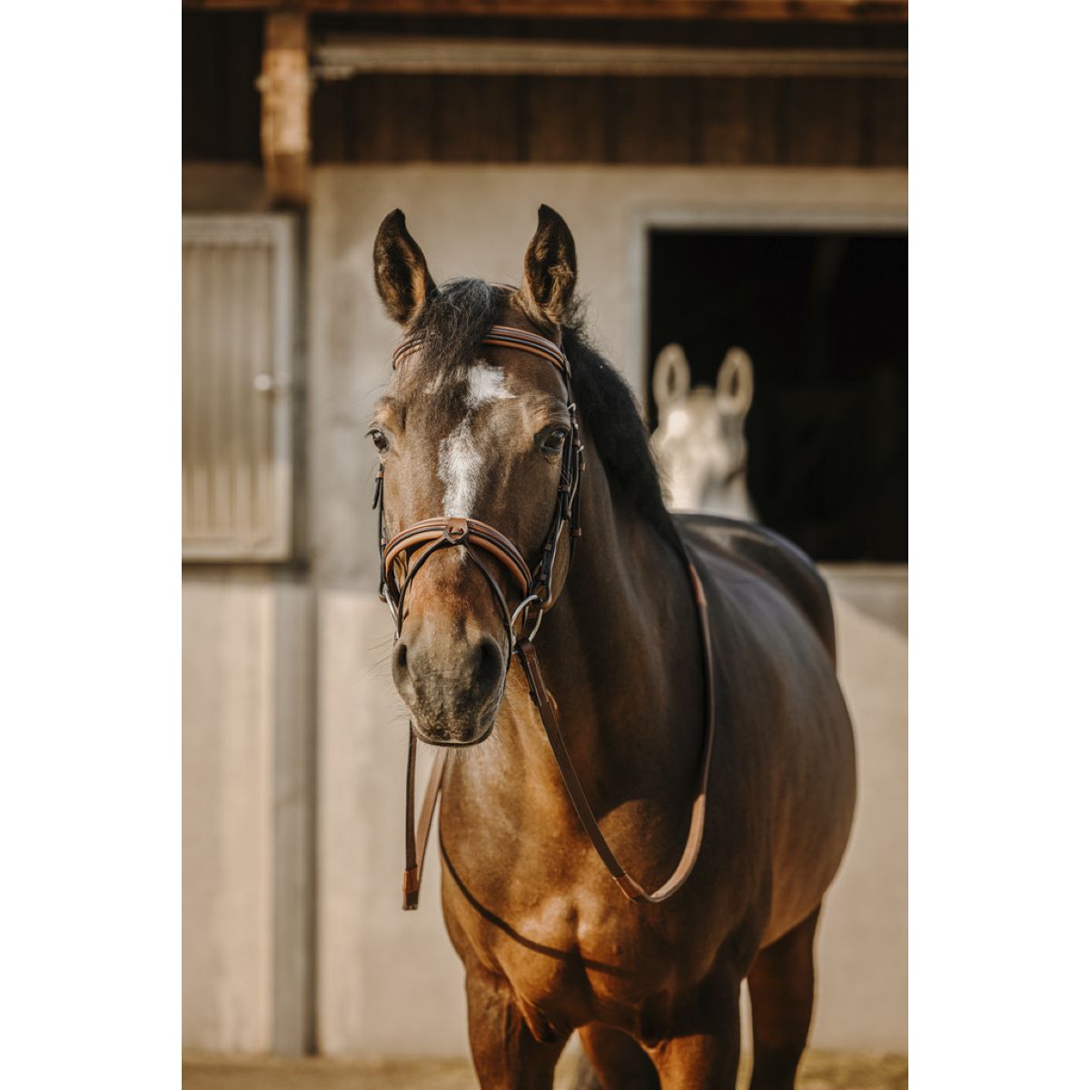 Eric Thomas Briglia Work L'Avana