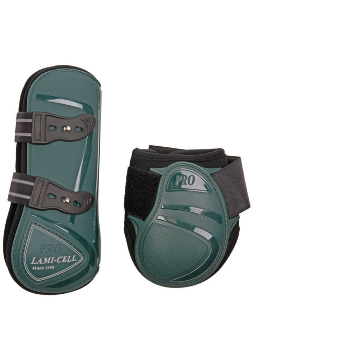 Lami-Cell Paratendini e Paraglomi Verde