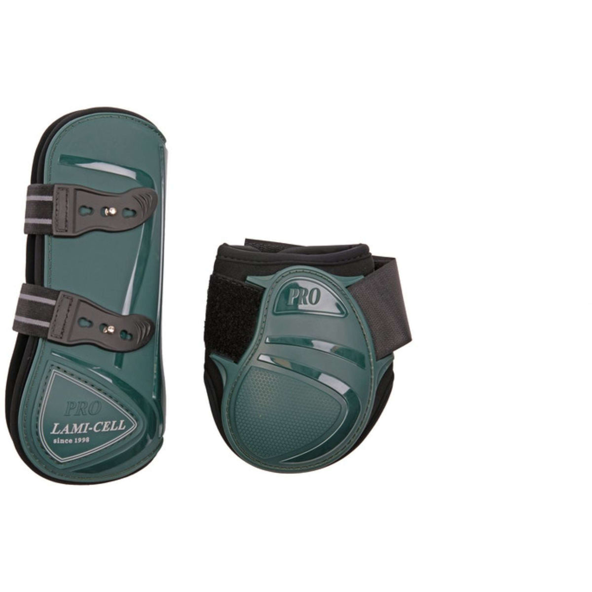 Lami-Cell Paratendini e Paraglomi Verde