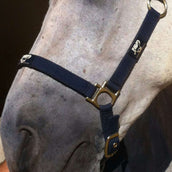 Animaderm Crema Idratante Cutene