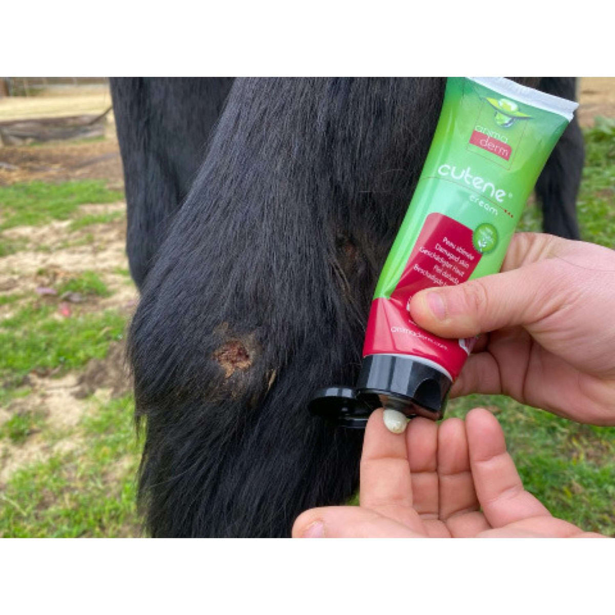 Animaderm Crema Idratante Cutene