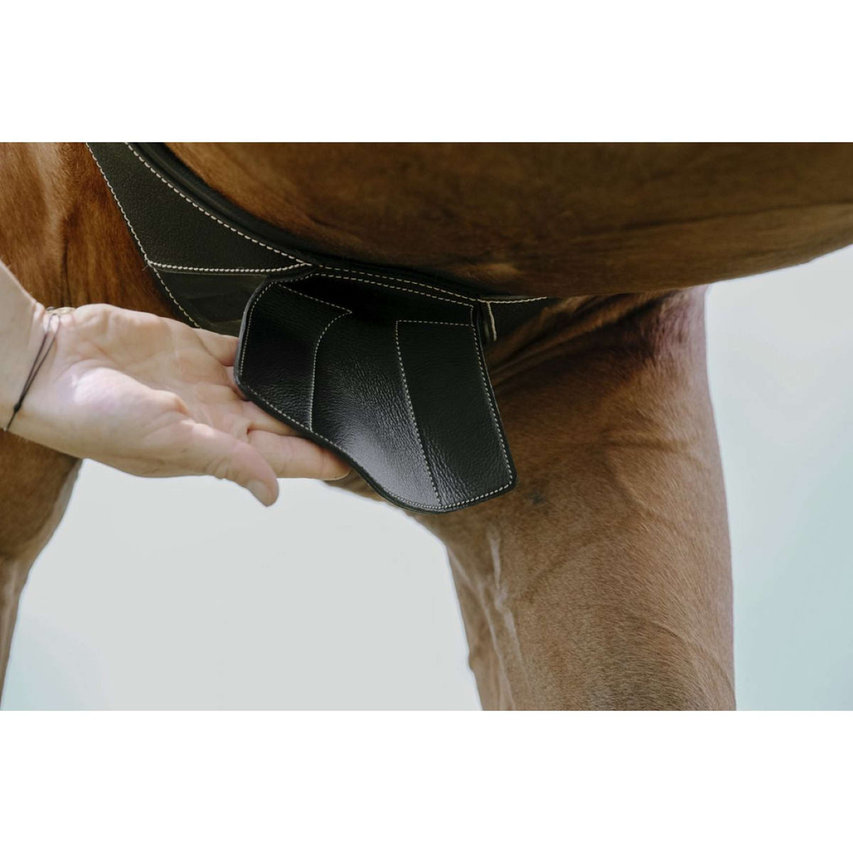 Norton Sottopancia Magnet Anatomisch Nero