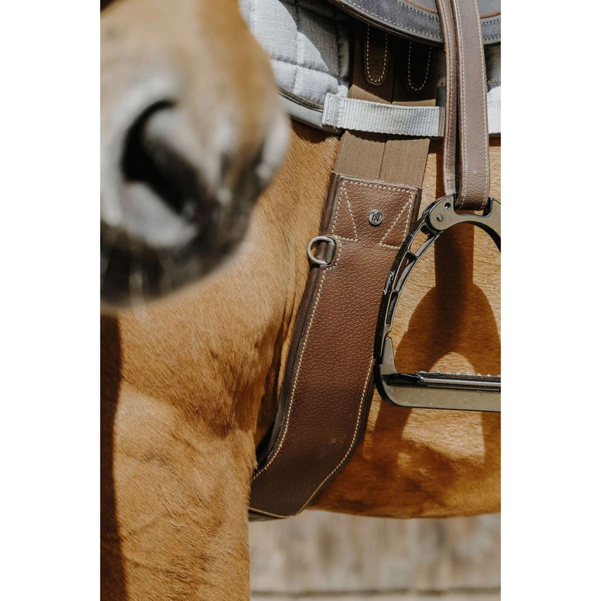 Norton Sottopancia Magnet Anatomisch L'Avana