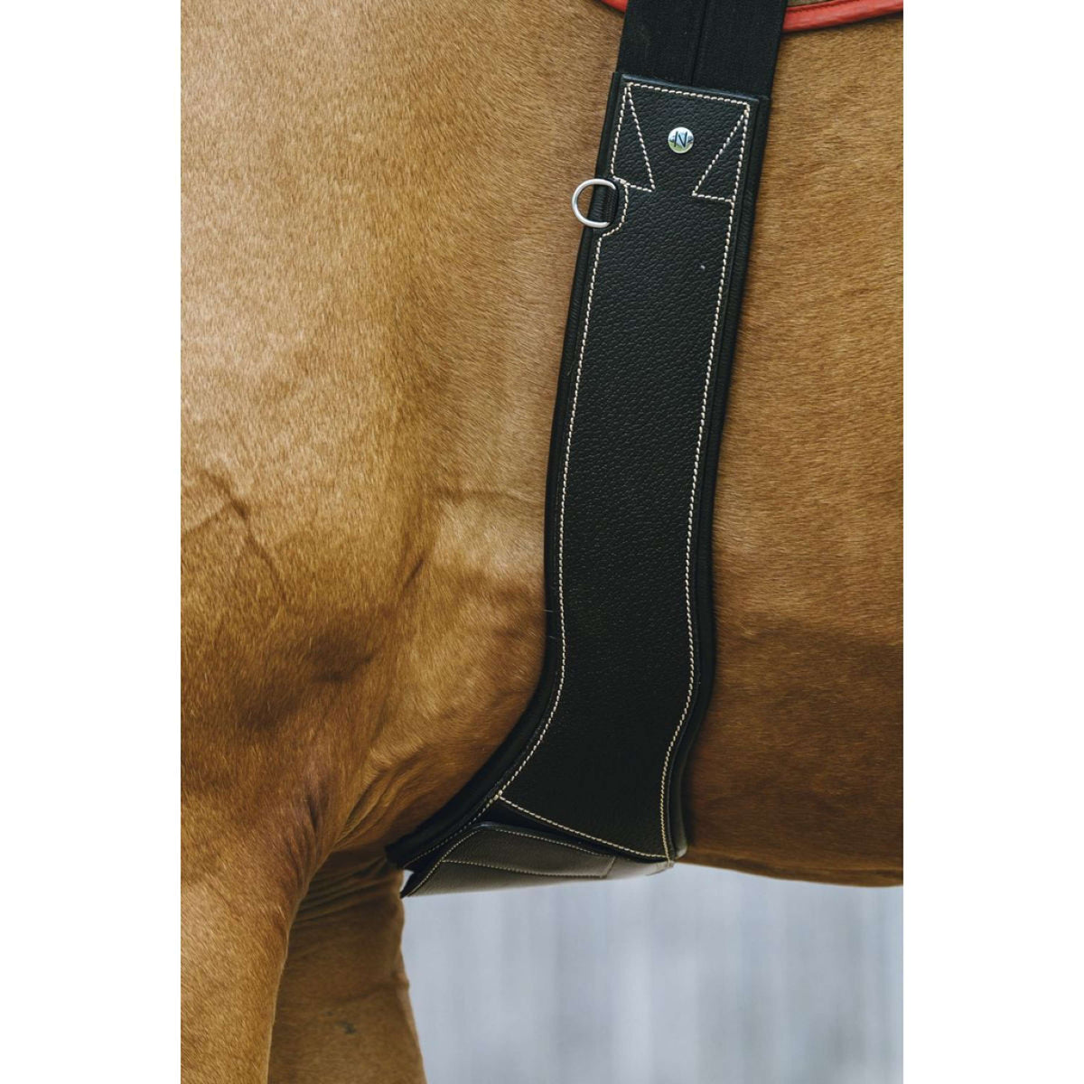 Norton Sottopancia da salto Magnet Nero