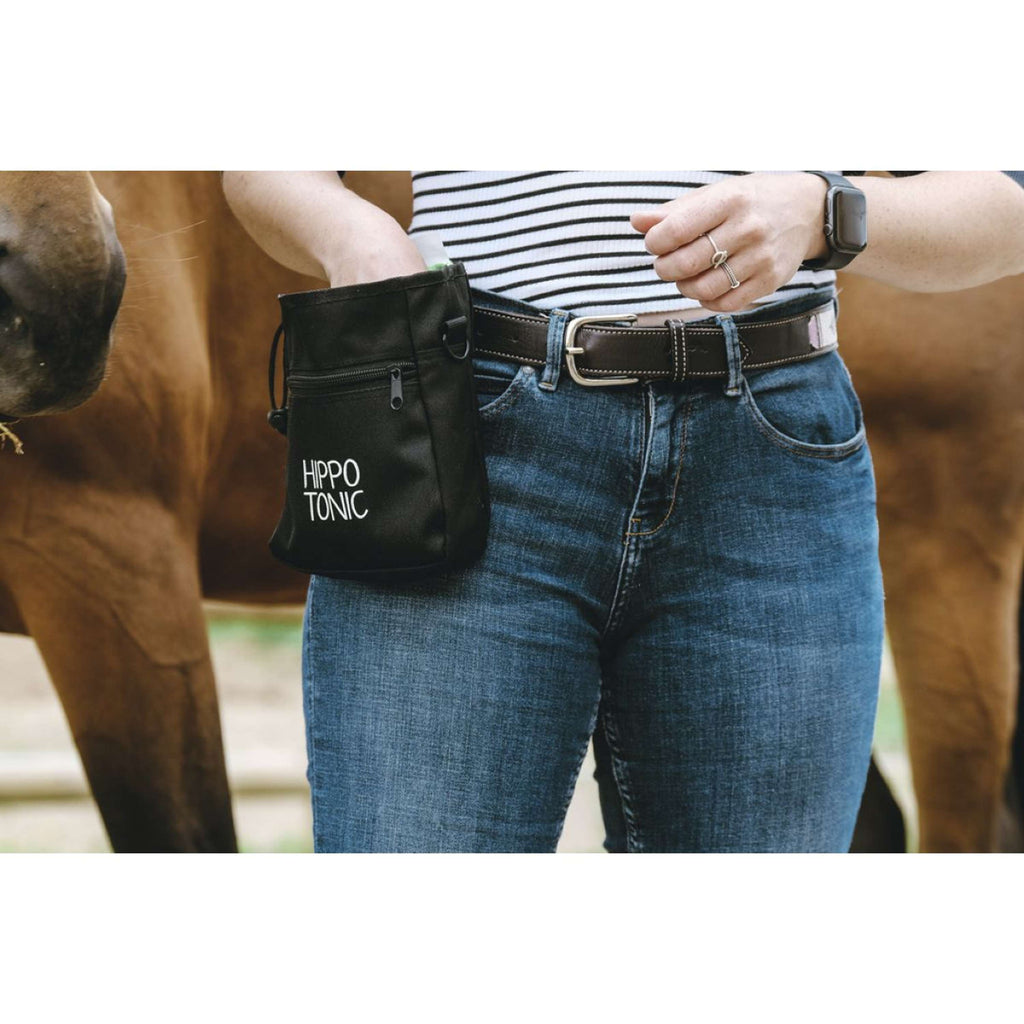Hippotonic Borsa premio