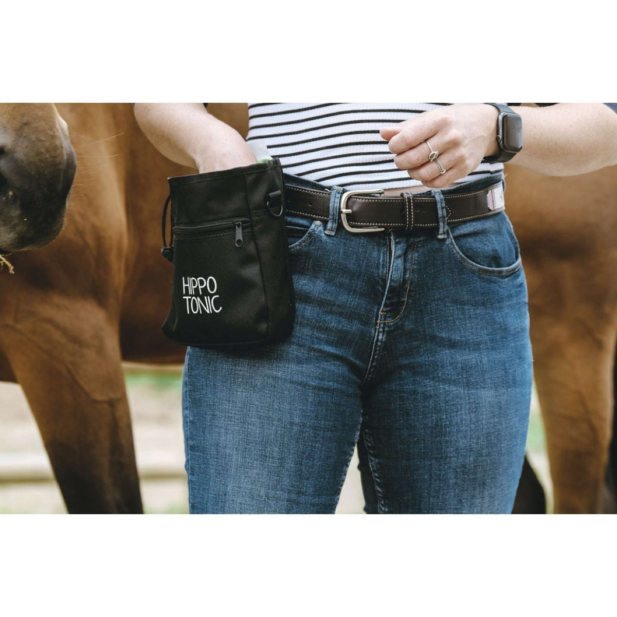 Hippotonic Borsa premio