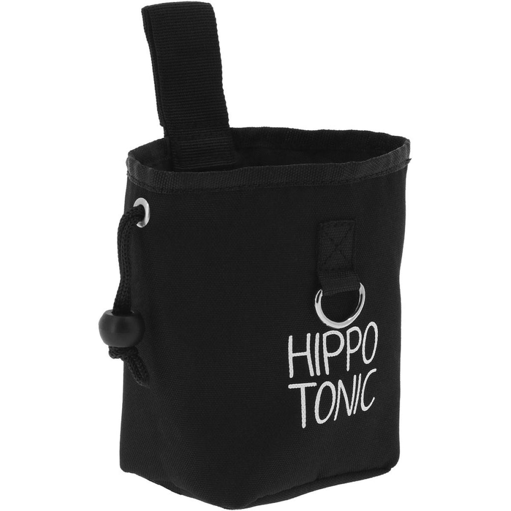 Hippotonic Borsa premio Klein