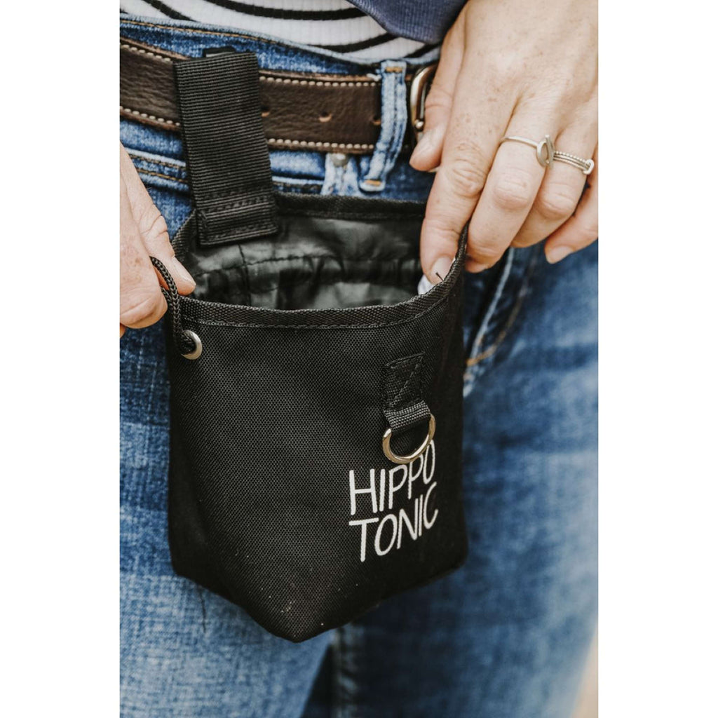 Hippotonic Borsa premio Klein