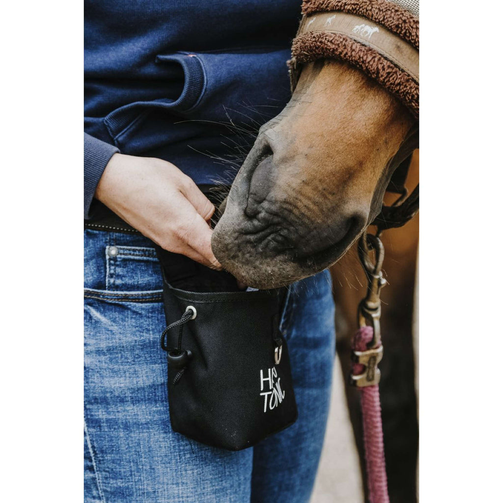 Hippotonic Borsa premio Klein