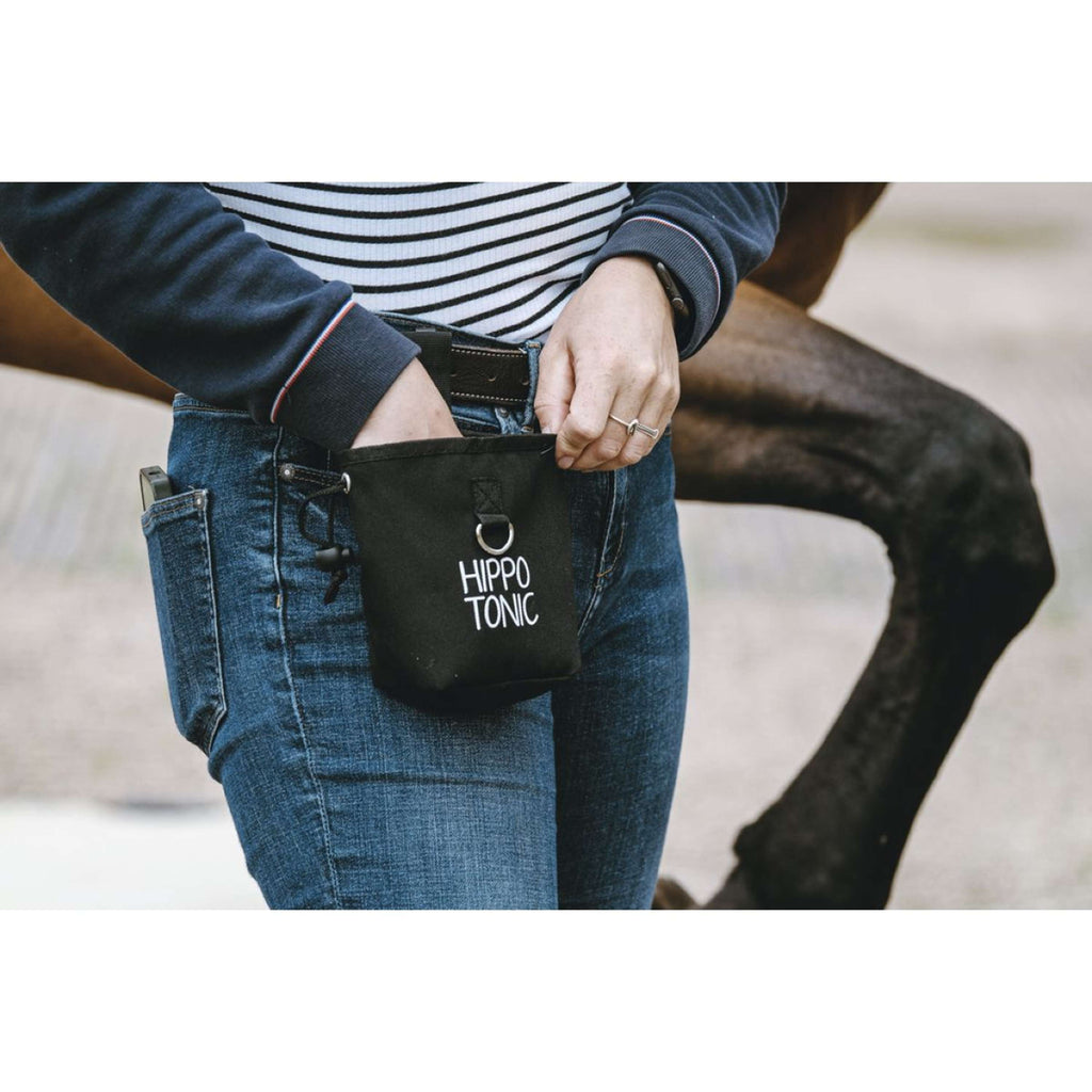 Hippotonic Borsa premio Klein