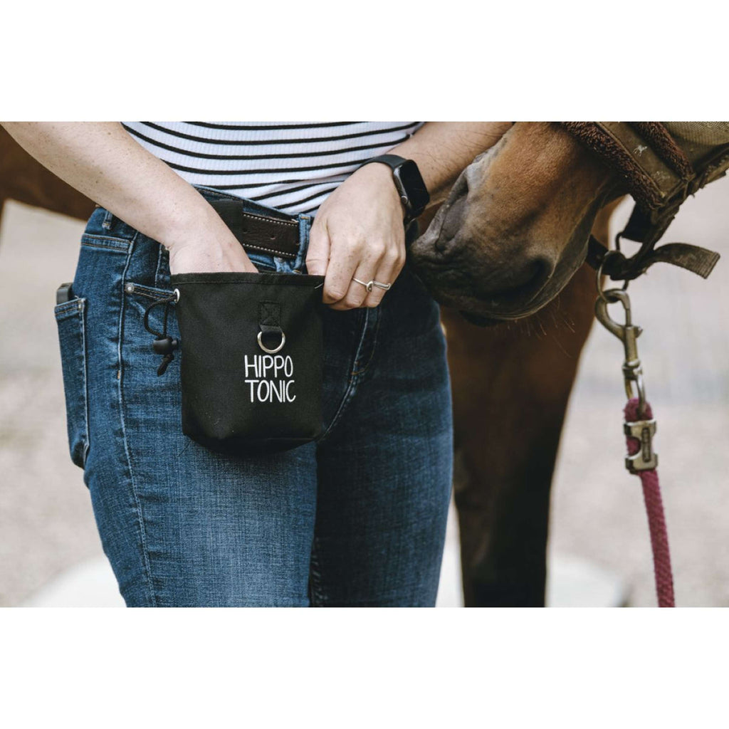 Hippotonic Borsa premio Klein