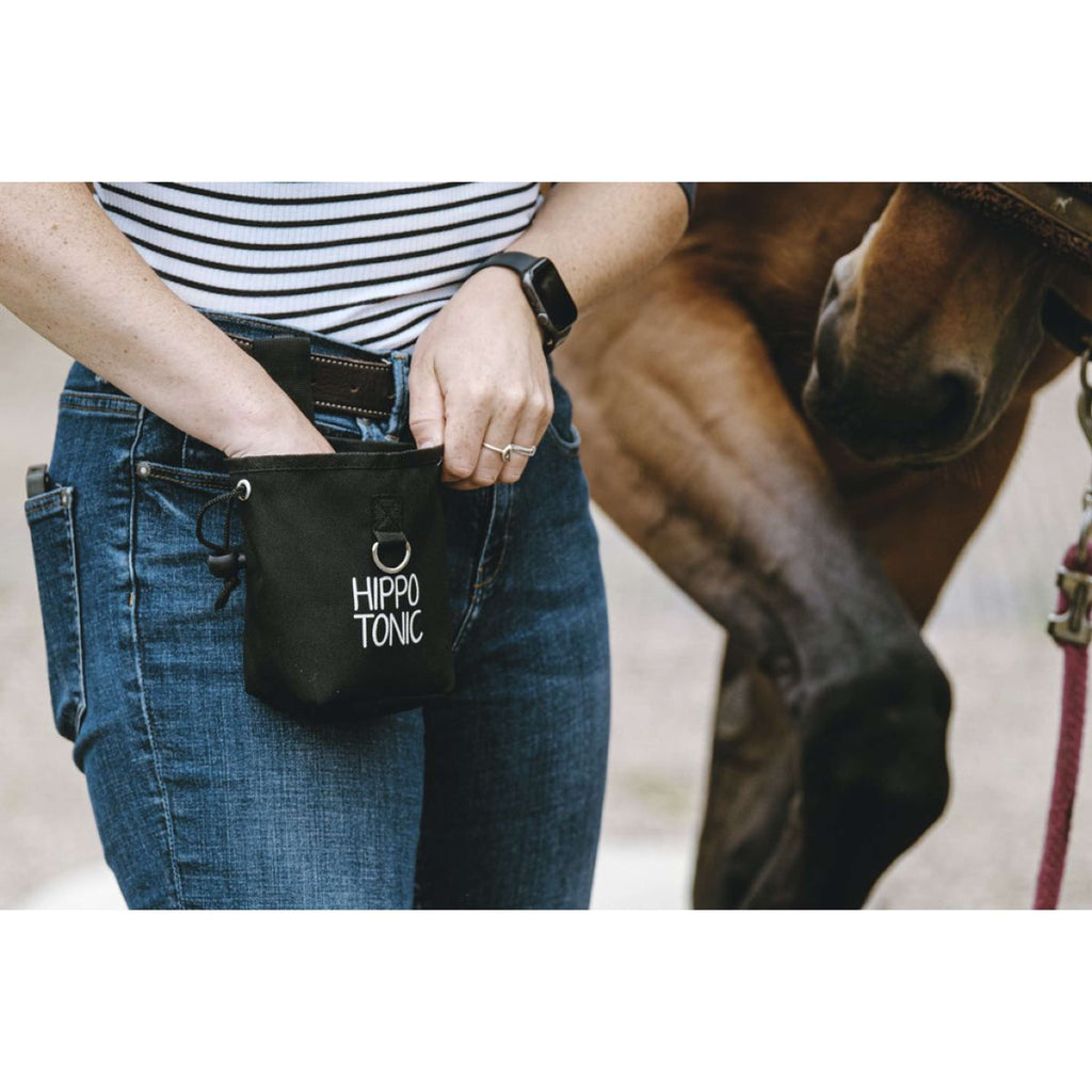 Hippotonic Borsa premio Klein