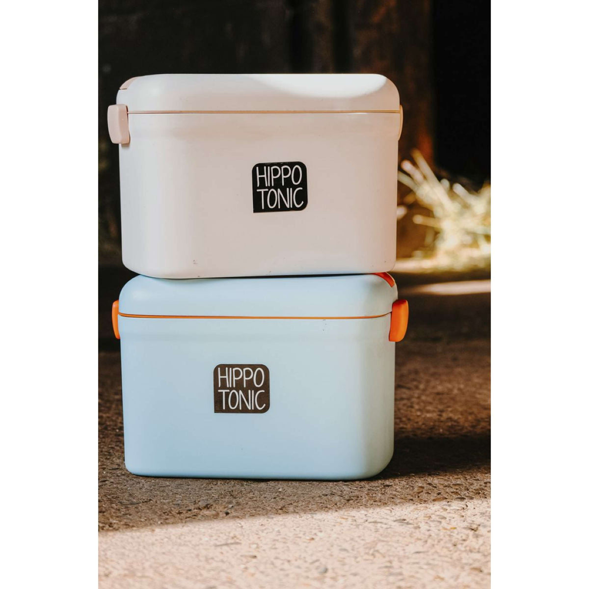 Hippotonic Scatola per Toelettatura Scooby Blu